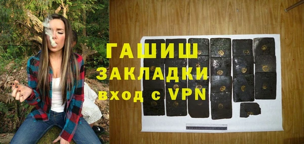 хмурый Алзамай