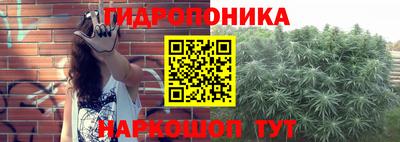 шишки Ликино-Дулёво