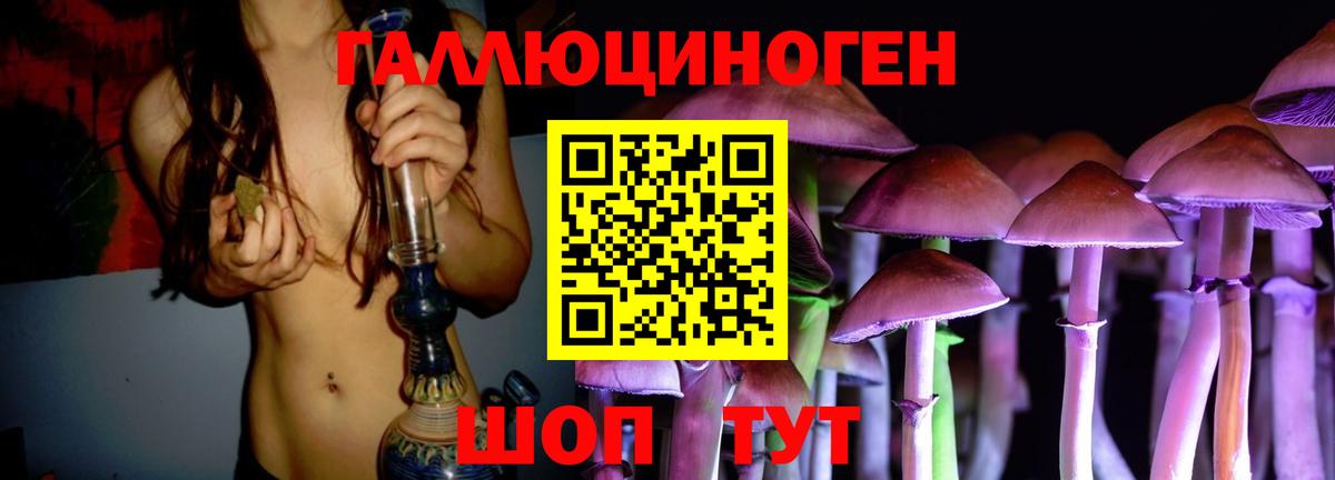 Псилоцибиновые грибы ЛСД  цена наркотик  Котовск  Вход с VPN 